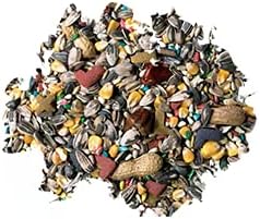 Premium Parrot Food, 4 lb Jar