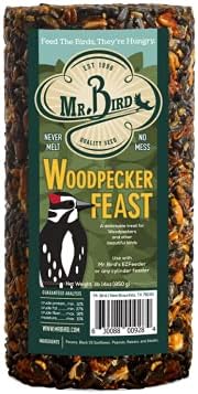 Mr. Bird Woodpecker Feast Small Cylinder | Wild Bird Food for Outdoor Birds | Backyard Birdfeeding