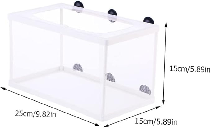 BESPORTBLE 3pcs Fish Tank Isolation Box Net Breeder Box Suction Cup Fish Breeding Divider