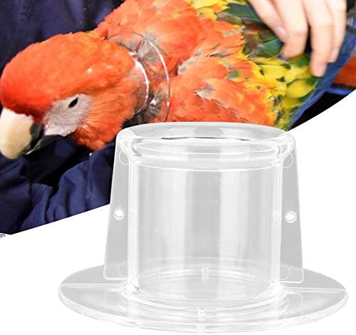 Parrot Neck Collar Breathable Bird Recovery Cones Parrot Neck Collar Elizabethan Bird Protector for Birds(L)
