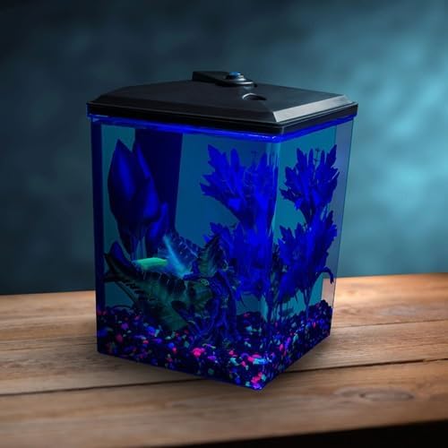 GloFish 2.5 Gallon Corner Aquarium Kit with LED Lighting, Plastic, Aquarium Kit, Perfect for Betta