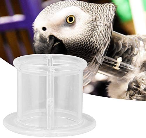 Parrot Neck Collar, Bird Recovery Cones Bird Neck Collar Bird Protector for Birds Small Animals Surgery Recovery(S)