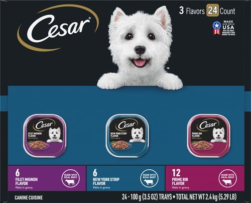 Cesar Filets in Gravy Adult Wet Dog Food Variety Pack, Filet Mignon, New York Strip, and Prime Rib Flavors, 3.5 oz. Easy Peel Dog Food Tray, 24 Count (Pack of 1)