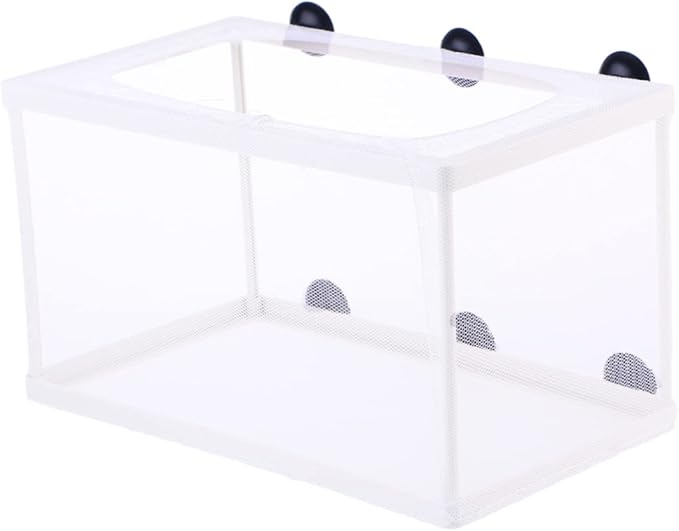 Large Size Aquarium Isolation Box Fish Breeding Tanks Net Fish Box Suction Cup