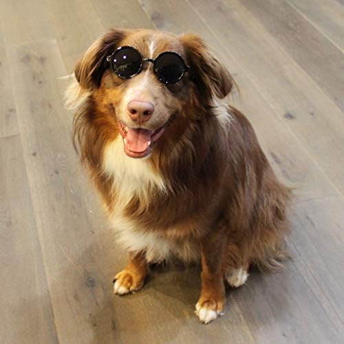 G001 Dog Cat Pet Costume Prop Round Sunglasses Medium Breeds 20-40 lbs (Black + Black)