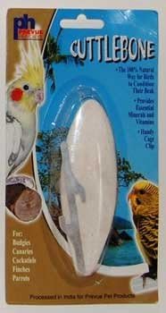 Cuttlebone Medium 6 - 8" Single
