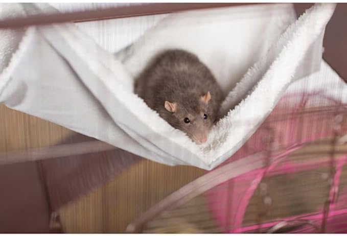 Prevue Pet Products Replacement Hammock for 7500 & 7501 cat Cages, Grey
