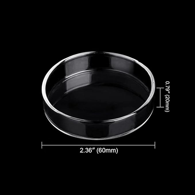 Aquarium Glass Feeder Dish Shrimp Feeding Dish Round Clear Glass Fish Feeder Bowl Fish Tank Food Tray Container Prevent Food Spilling, 60mm