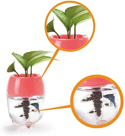 Dr. Moss Aquaponic Fish Tank Aquarium for Betta Fish with Water Garden Planter Top Lid Natural Ecosystem for Plant Growth (Green)