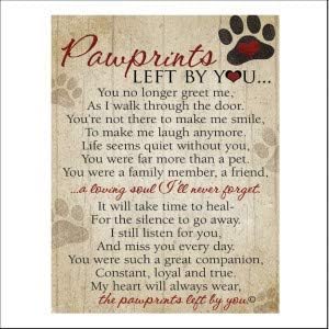 Pawprints Pet Memorial Frame with Pawprints Left by You Poem - Touching Dog Sympathy Gift for Pet Loss Remembrance (Frame With Ash Vial)
