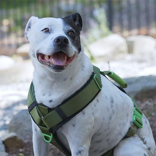 Ultimate Urban Premium Dog Harness - No Choke/Pull/Escape Dog Harness with Adjustable Padding, Heavy Duty, Easy On/Off, High Strength Buckles, Emergency Handle and 3 Connect Points (Green, XL)