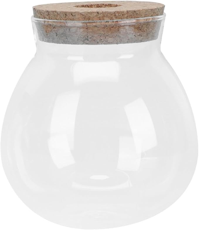 Balacoo glass fish tank propagation jars glass terrarium with cork terrarium jar goldfish bowl glass hydroponic vase small terrarium desktop aquarium fish bowl terrarium glass jar plant