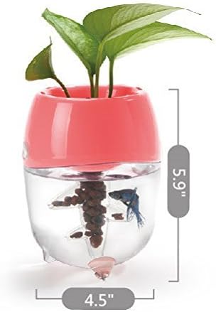Dr. Moss Aquaponic Fish Tank Aquarium for Betta Fish with Water Garden Planter Top Lid Natural Ecosystem for Plant Growth (Green)
