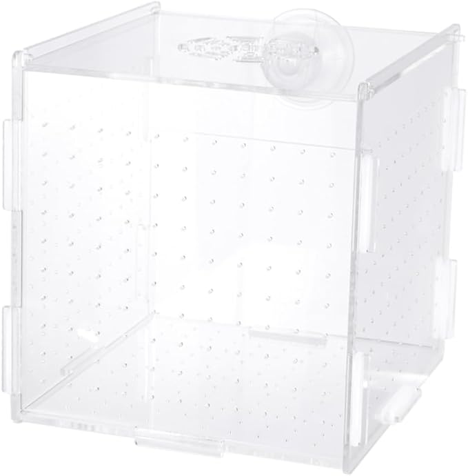 FRCOLOR Modern Fish Tank Isolation Box Clear Aquarium Breeding Box Suction Cup Ideal for Guppies and Betta