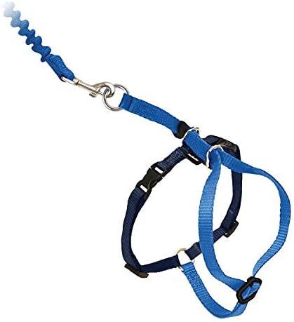 PetSafe Come with Me Kitty Cat Harness & Bungee Leash - Comfortable Cat Harness with Lightweight Bungee Leash for Outdoor Fun - More Secure Walks - Large - Royal Blue