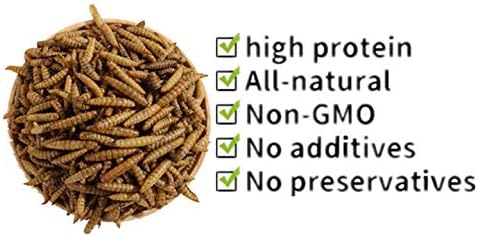 HANDPOINT 20LBS Black Soldier Fly Larvae Superior to Dried Mealworms for Chickens - Non-GMO - Treats for Birds Chickens Hedgehog Hamster Fish Reptile Turtles (20LB)