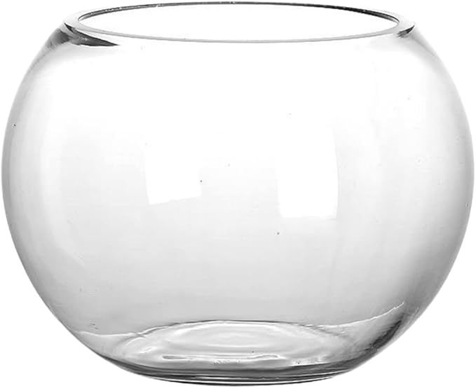Round Glass Fish Bowl Clear Desktop Aquarium for Small Fish Hydroponics Decor for Home Office Garden