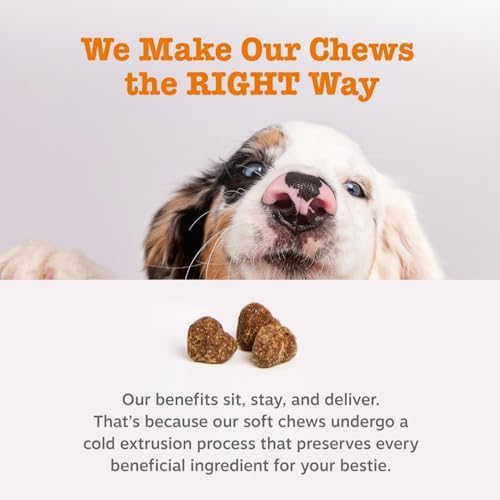 Zesty Paws Probiotics for Dogs - Probiotics for Gut Flora, Digestive Health, Occasional Diarrhea & Bowel Support - Clinically Studied DE111 - Functional Dog Supplement Soft Chew for Pet Immune System