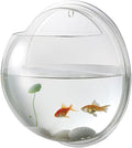 balacoo Wall Mounted Fish Tank 6.7 Inch Acrylic Aquarium with Hanging Design for Home Decor Transparent Fish Bowl with Random Aquatic Plants Ideal for Betta and Small