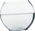 Flat Fish Tank Hydroponic Planter Glass Aquarium Glass Hydroponic Bowl Vase Water Plant Vase Betta Tank Fish Supplies Accessories Betta Household Products