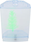 Mini Fish Breeding Box Acrylic Isolation Tank with Dirt Groove for Aquarium Fish Observation and Protection(Single)