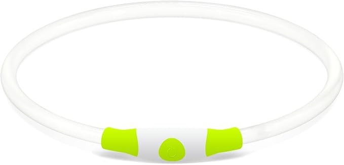 Led Dog Collar, BSEEN USB Rechargeable Flash Dog Necklace Light, Pet Safety Collar Makes Your Beloved Dogs Be Seen at Night for Small Medium Large Dogs(Green)