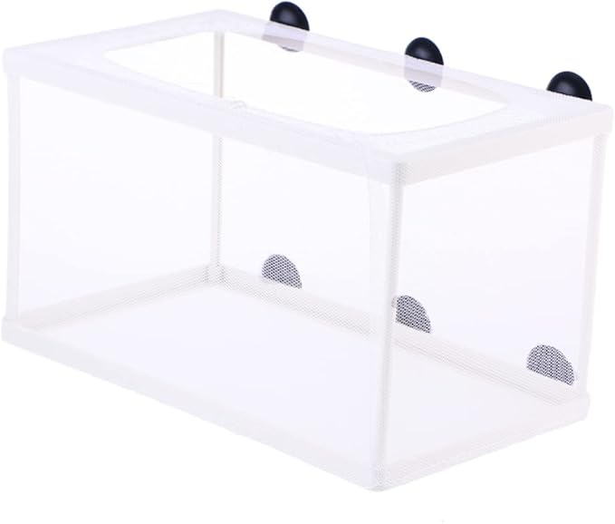Big Size Fish Breeding Net Live Bearer Box for Aquarium Fish Incubator Suction Cups
