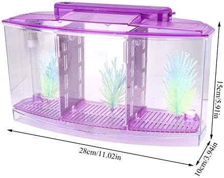 Mini Fish Box, Plastic Aquarium Isolation Box Acrylic Breeding Hatchery Small Fishes Incubator Mini Fish with Three Divisions and LED Light(Purple)