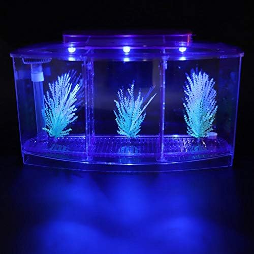Mini Fish Box, Plastic Aquarium Isolation Box Acrylic Breeding Hatchery Small Fishes Incubator Mini Fish with Three Divisions and LED Light(Purple)