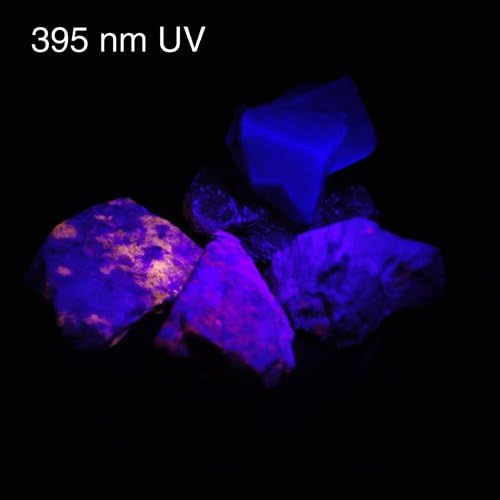 51-LED 395nm Ultra Violet Blacklight UV Flashlight 3xAA Pet Urine Stain Mineral Detector (12-Pack), 7202UV395x12