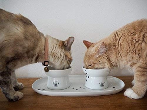 NECOICHI Raised Cat Bowl Dining Tray (Double)
