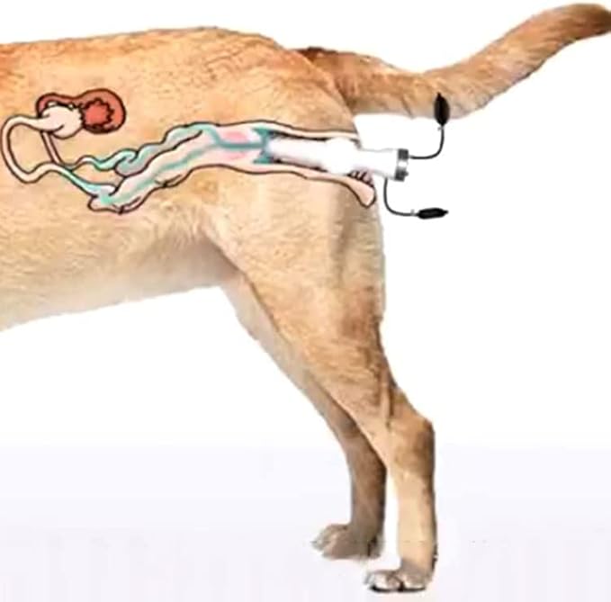 Wadoy Dog Artificial Insemination Kit for 20-40KG Dogs Corgi Semen Device Canine Insemination 𝑼𝒑𝒈𝒓𝒂𝒅𝒆 Bulldog Insemination Tools
