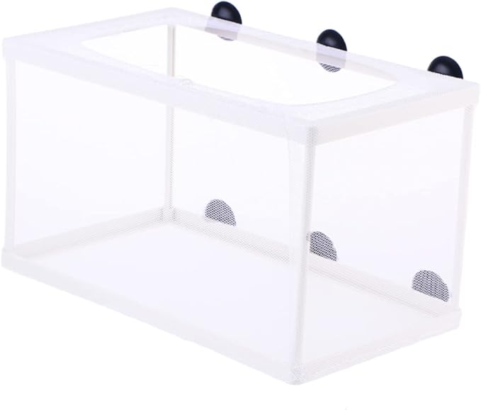 Aquarium Breeding Box Large Size Fish Net Incubator Suction Cup Fish Tank Divider