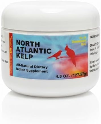 Morning Bird North Atlantic Kelp 4.5 oz – Healthy Supplement for Birds – Supports Feather Growth, Molting & Metabolism – Rich in Amino Acids, Minerals & Vitamins – Clean Nutrition for All Bird Types