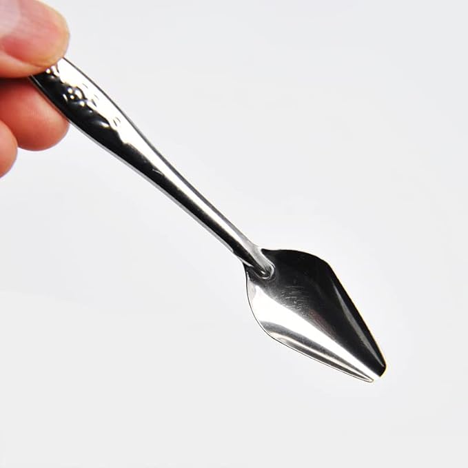 10 PCS Bird Feeder Spoons Stainless Steel Milk Medicine Parrot Feeding Scoops Hand Feeding Spoons for Peony Cockatiel Parrot