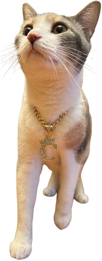 Initial Letter Cuban Chain Dog Chain Pet Chain Pet, Cat, Puppy Necklace (C, 20")