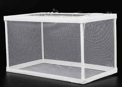 Fish Nursery for Aquarium-Fish，Aquarium Fish Breeder Box, Hatching Box, Juvenile Fish Spawning Incubator, Water Isolation Net Hatchery、Fish Isolation Box (Rectangle-no partition)