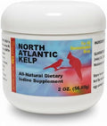 Morning Bird North Atlantic Kelp 2 oz – Healthy Supplement for Birds – Supports Feather Growth, Molting & Metabolism – Rich in Amino Acids, Minerals & Vitamins – Clean Nutrition for All Bird Types