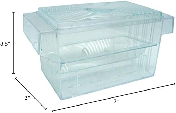 7 x 3 x 3.5 in. Fish Hatchery Tank