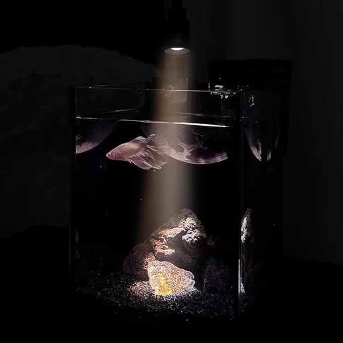 Betta Fish Tank Starter Kit, Aquarium with Lighting and Filtration System, Ultra-Clear Frameless Leak-Proof Tank, Suitable for Keeping Betta Fish