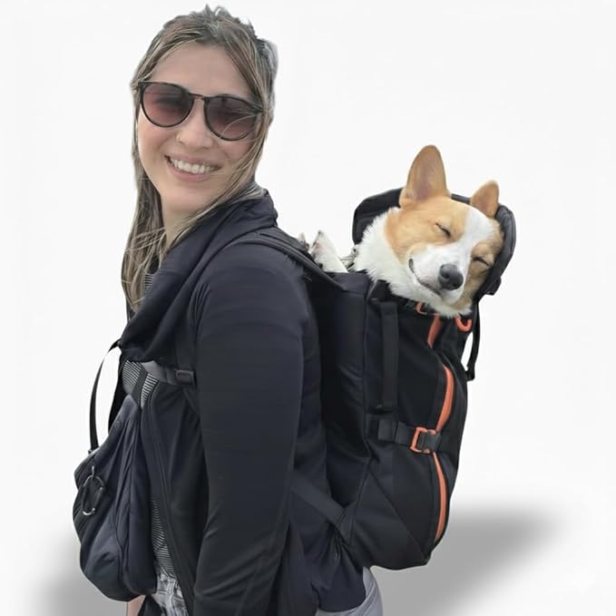 Maxine One Dog Backpack Carrier for Medium Dogs by Little Chonk | Adjustable & Ergonomic Front Facing Dog Carrier Backpack | Bult to be Safer | Pet Backpack Carrier, Featured in Wired Magazine - Black