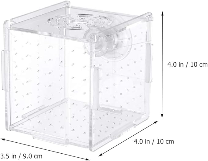 Fish Breeding Box- Box Hatchery Incubator Aquarium Fish Breeding Boxes Divider Hatching Boxes Accessory for Small Shrimp Clownfish Guppy-Small Suction Cup