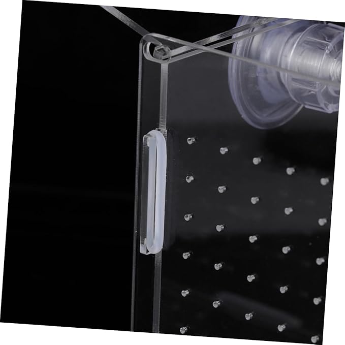 Modern Fish Tank Isolation Box Acrylic Fish Breeding Tank for Betta Guppy Suction Cups and Divider