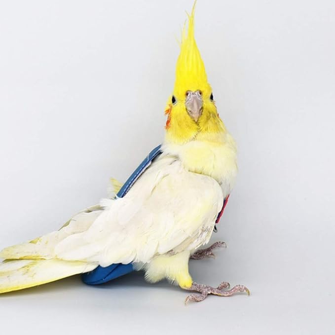 Birds Parrot Flight Suit with Leash Harness Rope, Velvet Leather Diaper Flight Clothes for Cockatiel Pigeons