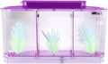 Small Fish Isolation Fish Tank, LED Acrylic Aquarium Fish Tank, Transparent Fish Isolation Box with 2 Isolation Plates for Small Fishes Betta Shrimp Guppy (Lightpurple)