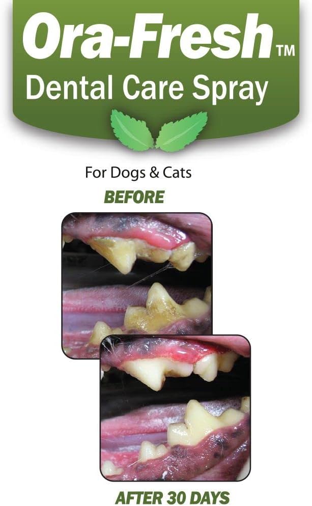Green Pet Organics OraFresh Dental Spray with Peppermint Oil - Naturally Fights Tartar, Plaque & Freshens Breath Instantly, Improves Oral Health, 8 oz