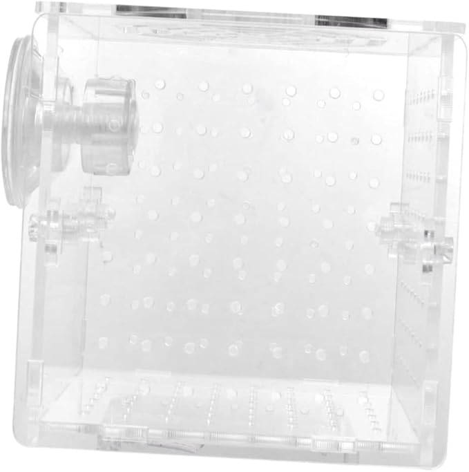 BESPORTBLE Acrylic Fish Breeding Box Live Fish Isolation Tank Breeding Hatching Box for Aquarium Round Hole Suction Cup