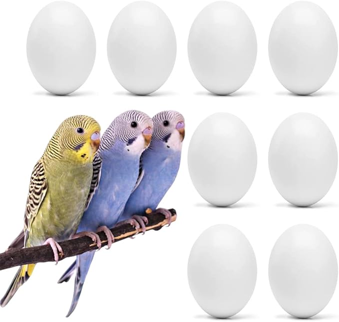 8Pcs Fake Bird Eggs, Stop Egg Laying fit Parrotlet, American Parakeet, Budgie, Diamond-Dove Artificial Eggs 14mm*19mm