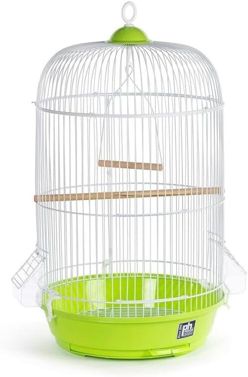 Maykoosh Artisanal Attic Small Round Bird Cage with Graceful Design, Durable Metal Construction, Compact Size, and Comfortable Space