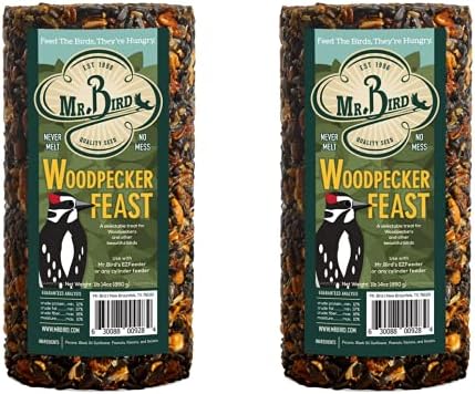 2-Pack Mr. Bird Woodpecker Feast Small Cylinder | Wild Bird Food for Outdoor Birds | Backyard Birdfeeding
